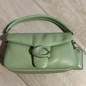 Coach pillow tabby 18